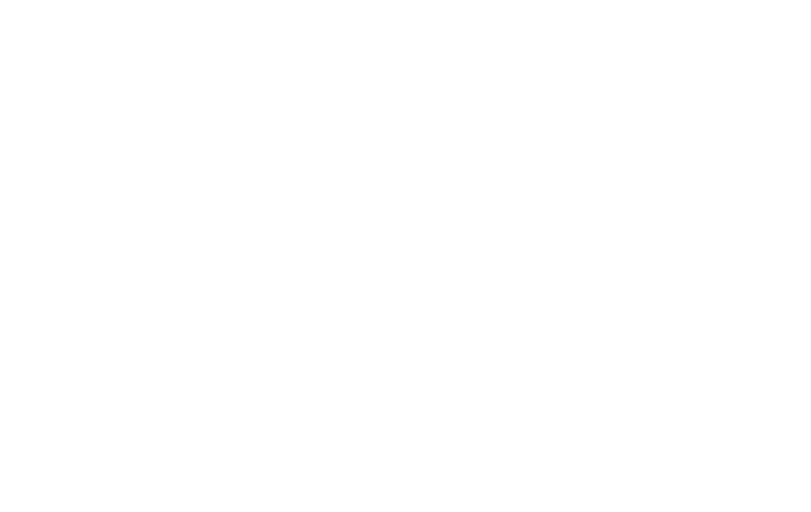 Logo Project